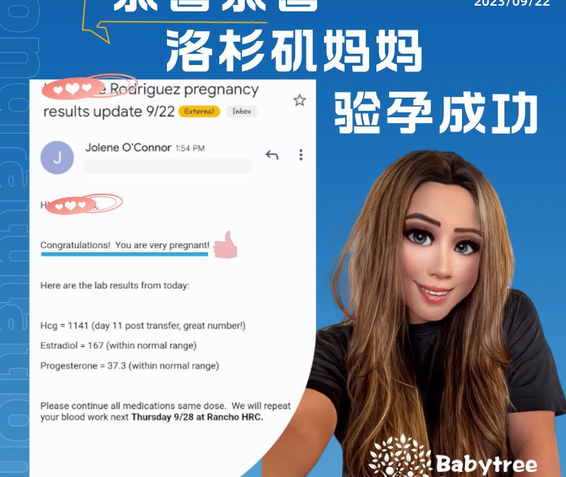 美国宝宝树工作日常【230922验孕成功】