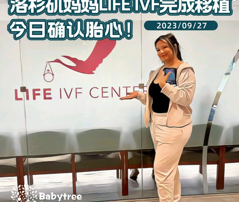 美国宝宝树工作日常【230927确认胎心】